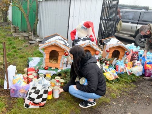 Adventi jótékonykodás 2022