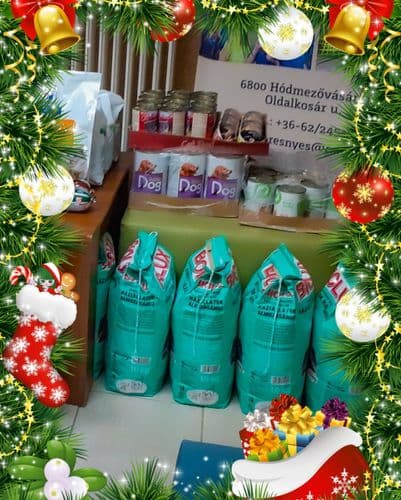 Cseresnyés álltal gyűjtött állateledelek