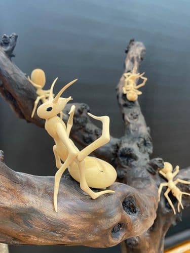 Fából faragott hangya szobrok