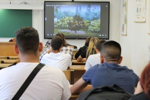 diákok használatában az okos tábla