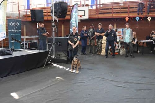 SkillFest-Hódmezővásárhely