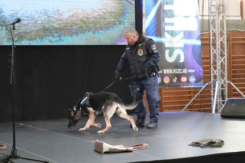 SkillFest-Hódmezővásárhely