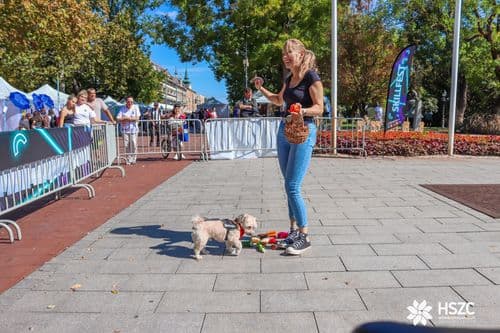 SkillFest-Vásárhely-2026