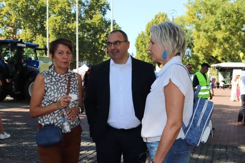 SkillFest-Hódmezővásárhely 2025